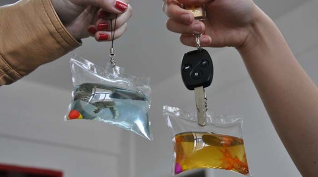 In China Trapped Live Animals Are Sold As Keychains
