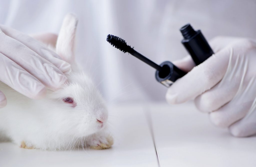 does dior makeup test on animals