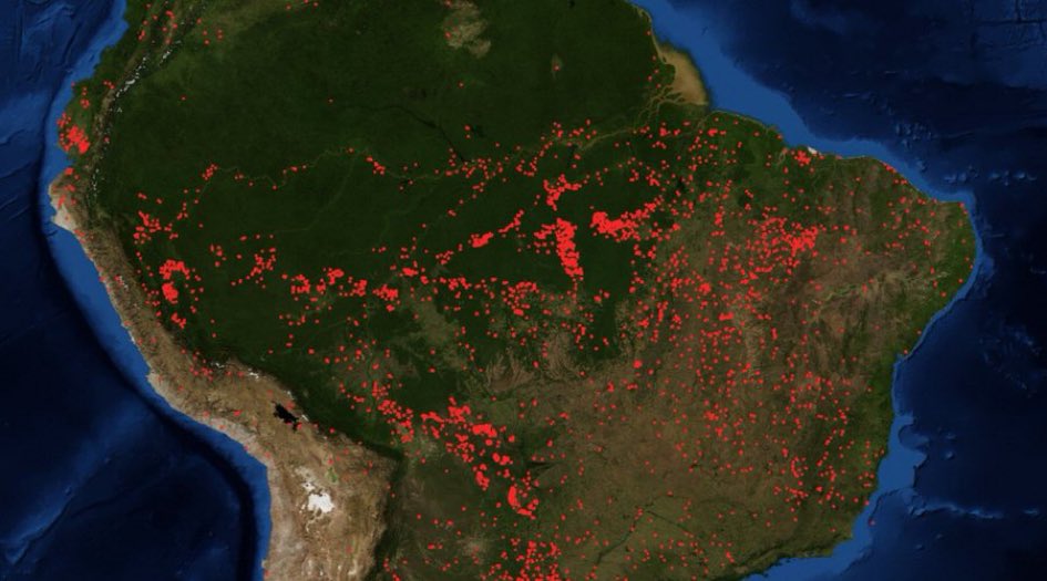 Image result for amazon rainforest burning