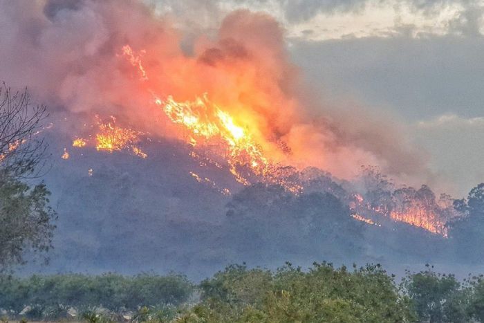 NSW bushfires