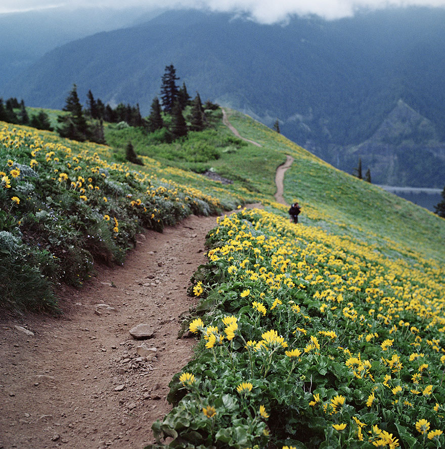 Magical Paths