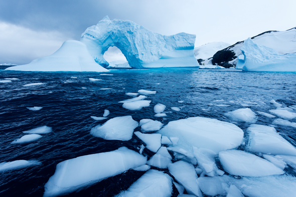 Antarctica 